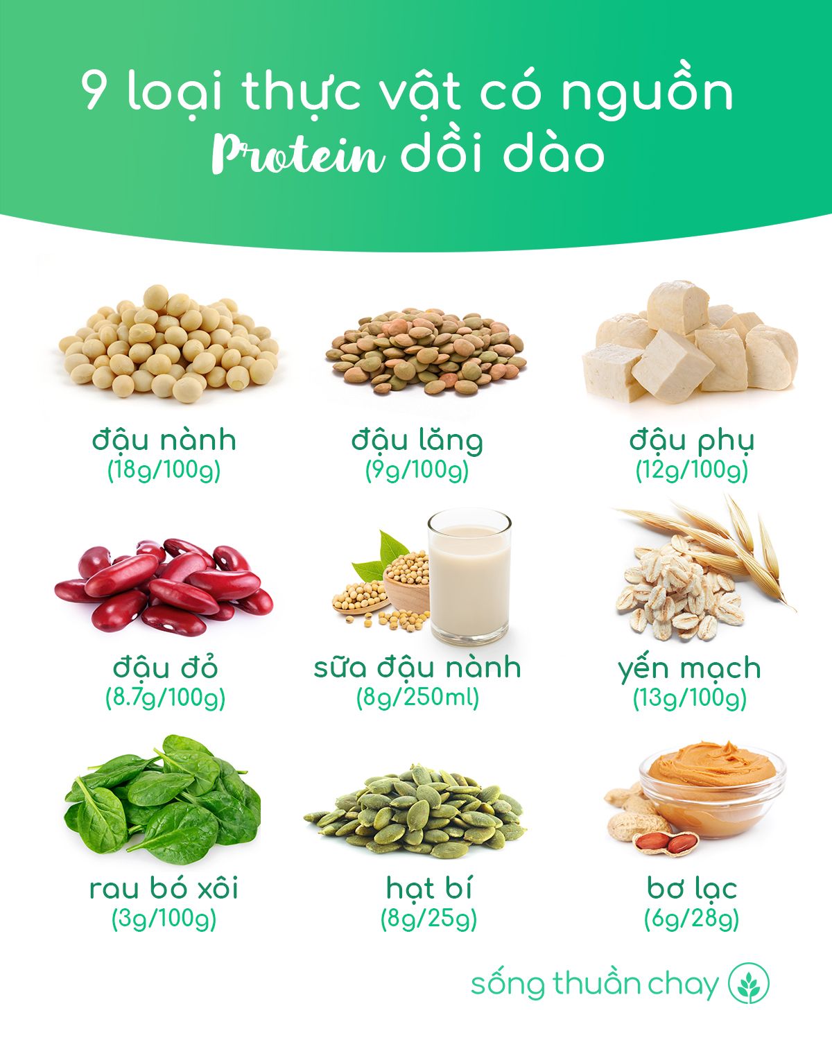 Protein.jpg