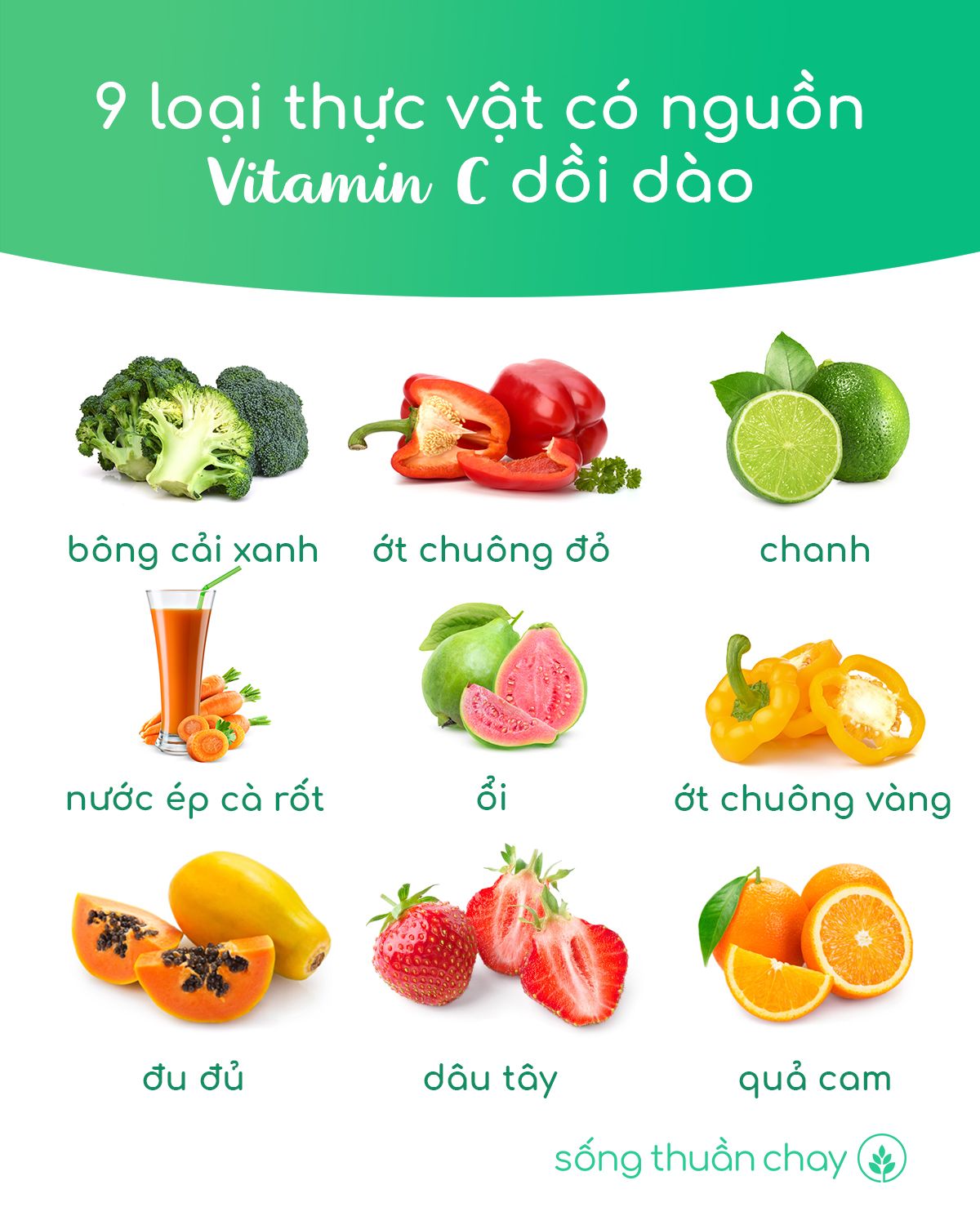 Vit C.jpg